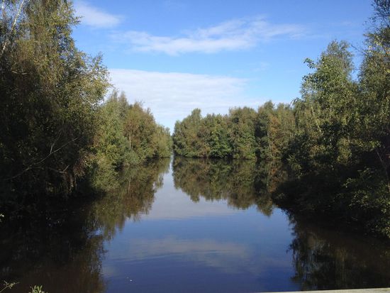 Markfleth - das allgegenwärtige Wasser