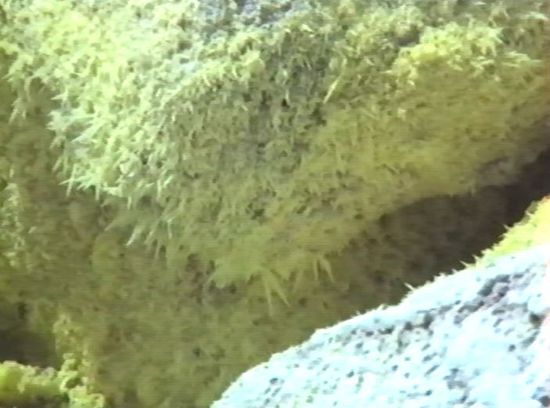 in einzelnen Löchern sind wunderbar geformte Schwefelkristalle zu sehen