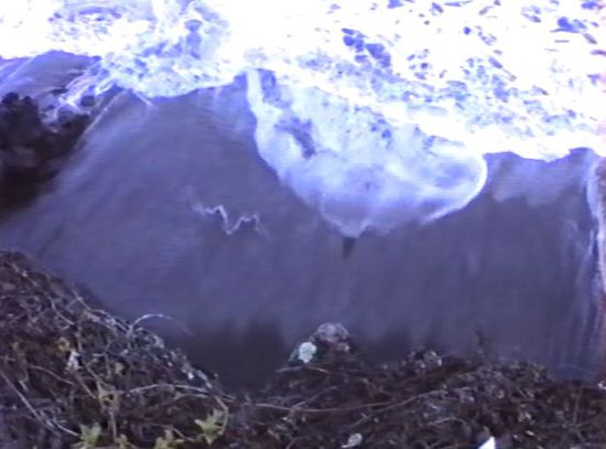 schwarzer Strand von oben