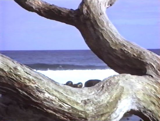 aber es gibt auch weißen Sandstrand