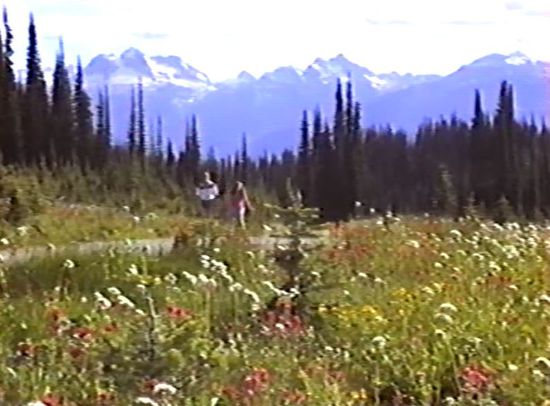 Meadows-in-the-sky-Trail