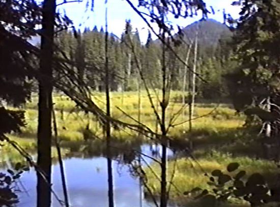 Beaver Pond Nature Trail