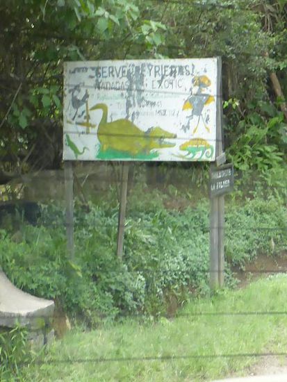 Das Bilderbuch zum Park gibt im folgenden Unterkapitel