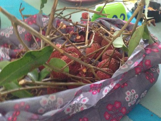 die auf dem Tisch kredenzten Litschis frisch vom Baum sind ausgesprochen lecker