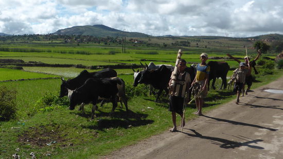 man zieht mit allem zum Markt