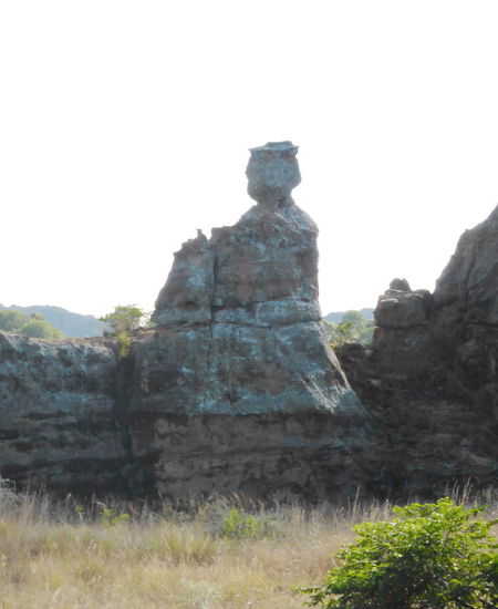 Silhouette der Königin