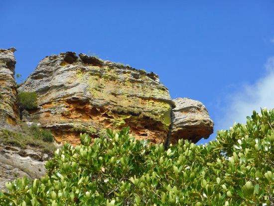interpretierbare Felsformation: Schildkröte