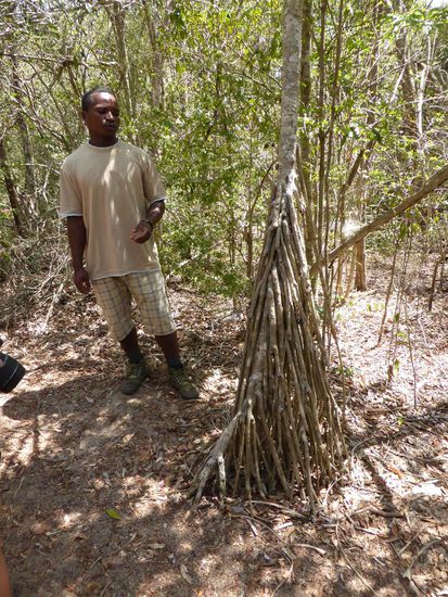 Stolz führen sie uns durch 'ihren' Wald