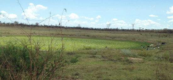 22°54'18" S / 44°37'45" O - 630m NN