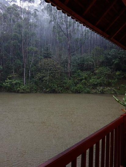 ein tropischer Regenguss