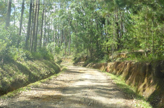 von der Lodge zur Hauptstraße nach Andasibe