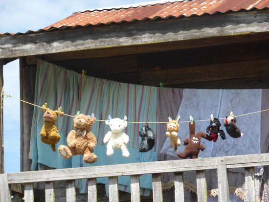 aber neben der Kleidung werden auch die Teddies gewaschen