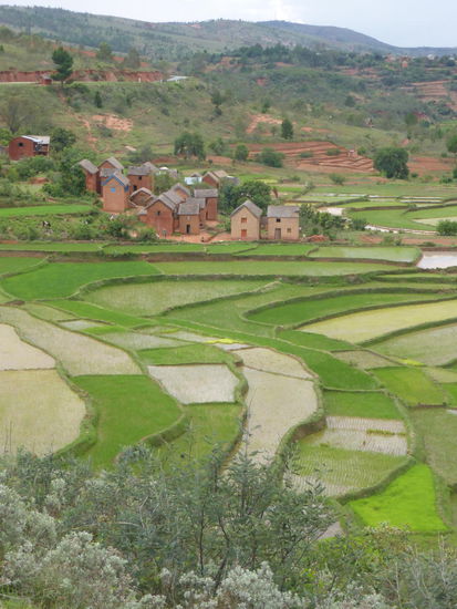 gut erkennbar - die zweistöckigen Häuser mit kleinen Fensteröffnungen