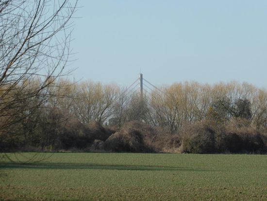 in der Ferne die südliche Rheinbrücke von Düsseldorf,