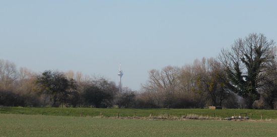 sowie noch weiter entfernt den Fernsehturm