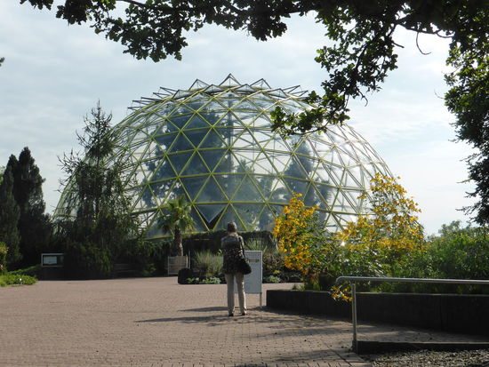 Plexiglaskuppel über dem Gewächshaus