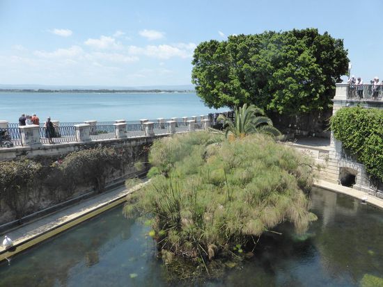 Fonte Aretusa - die Quelle einer Nymphe. Die Existenz einer Süßwasserader in unmittelbarer Nähe zum Meer war Anlass für eine rührende griechische Sage