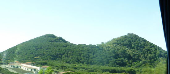 'Busen von Sophia Loren'