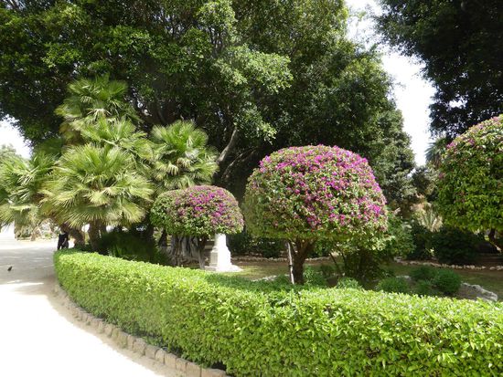 im sehr gepflegten Park