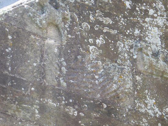 durch die Bemoosung schlecht zu erkennen: Fische und Schiff