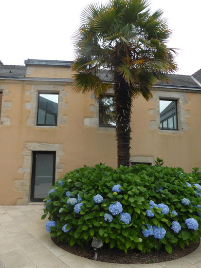 Das Museum befindet sich im Hause Porquier mitten im Herzen des Locmaria - Viertels. Der Bau aus dem Jahre 1773 bestand aus einem Langhaus, in dem die Brüder Francois und Guillaume Eloury ihre Steingut -Öfen aufstellten und aus einem Hauptgebäude aus dem Jahre 1797. Im Erdgeschoss befanden sich die Fabrikbüros, und hier wurden auch die Musterstücke aufbewahrt.