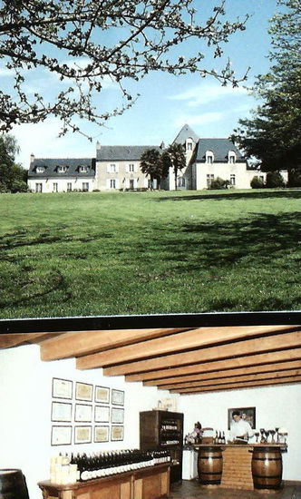 Manoir de Kinkiz