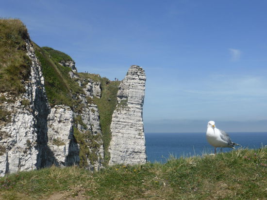 den Möwen schon näher
