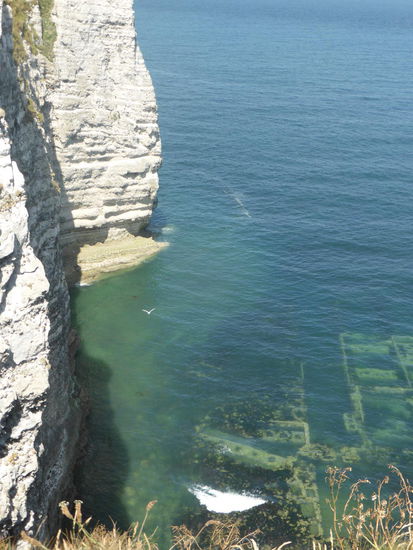 Blick auf alte Austernbänke