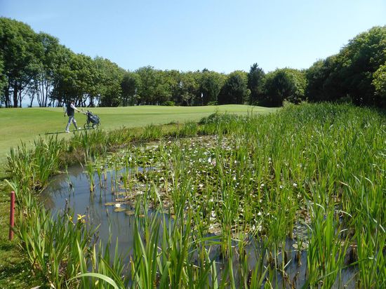 und hat nur einen kleinen Wassertümpel, der aber kein Wasserhindernis darstellt