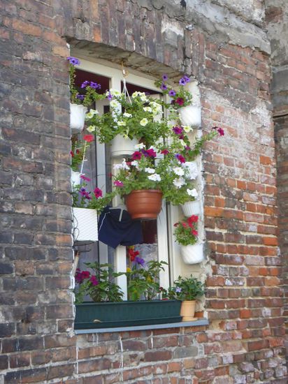 ab und zu wird mal ein Fenster 'verschönert'