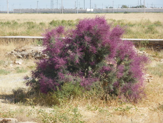 ansonsten bleibt nur ein Blick auf wüstenartiges Gelände und Industrie