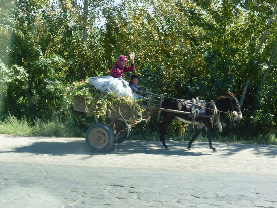 Eselskarren sind selten geworden