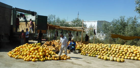Großverkauf am Straßenrand