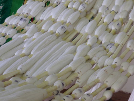 zum Färben vorbereitet