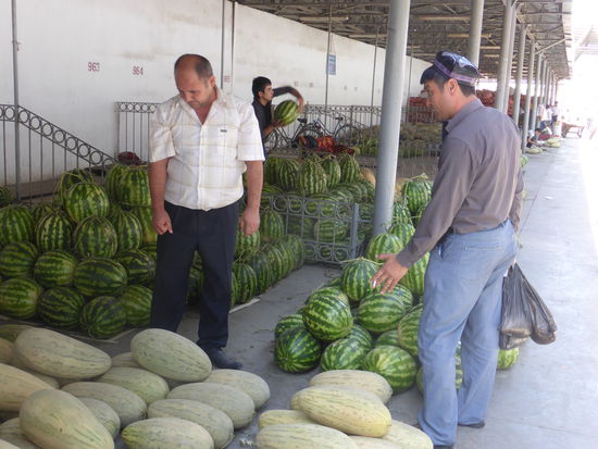 umfangreiche und langwierige Überlegungen zum Kauf einer Melonme
