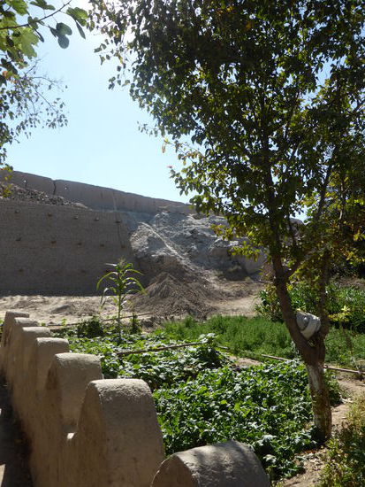 selbst ein kleiner Fleck zum Gemüseanbau