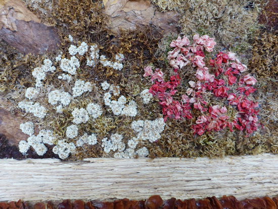 Details aus obigem Bild