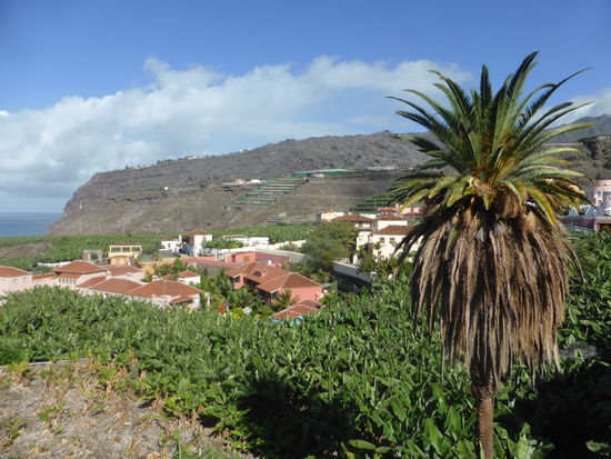 heute prägt den Ort der Bananenanbau, dem sich Europas einziges Museum zu diesem Thema widmet.