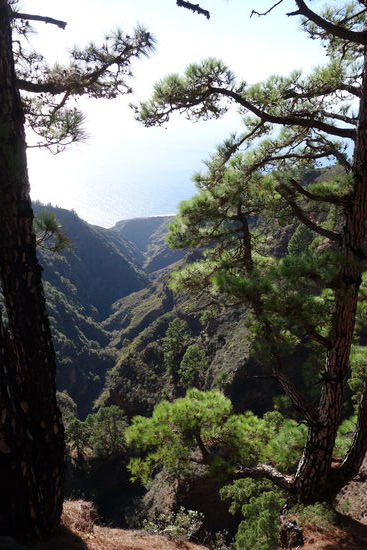 Barranco de Garome - die Schlucht bildet eine naturliche Grenze zwischen den Gemeinden von Tijarafe und Puntagorda - an den bergseitigen Hängen wird Wein angebaut