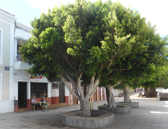 außer ein paar kleine Läden und einer Bar gibt es in dem Ort nichts