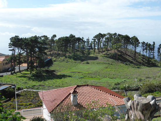 immer wieder entdeckt man einen weiteren Vulkankegel
