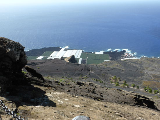 Bananenplantagen auf dem 'Neuland'