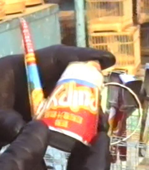 und auch kleine Gießkannen