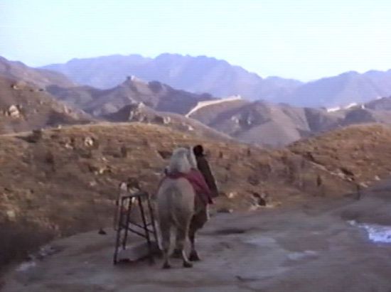 trotzdem will niemand bei der Kälte Kamelreiten