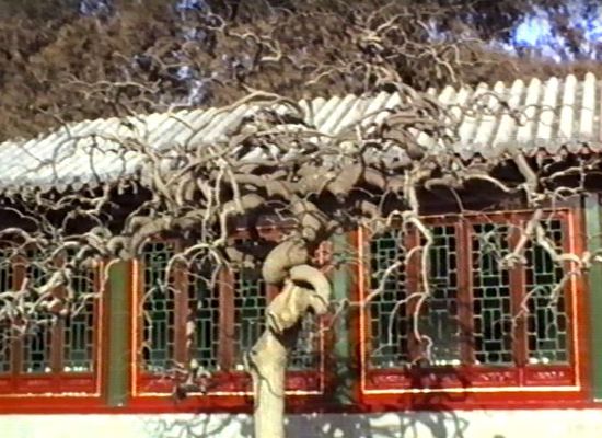 Baumdekor auf chinesische Art