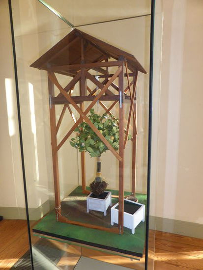 Vorrichtung zum Einbringen großer Pflanzen in Kübel (umtopfen?!)