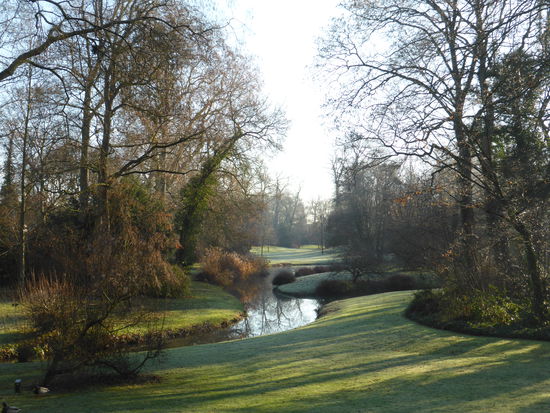Blick in den Englischen Garten