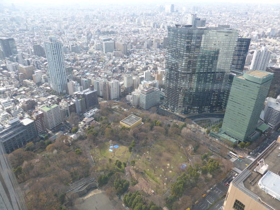 Blick auf den Shinyuku-Central-Park - auf den blauen Matten feiert man wieder das Kirschblütenfest