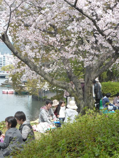 auch hier wird schon fleissig gepicknickt