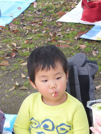 und die Kleinen werden frühzeitig ans Picknicken auf dem Hanami gewöhnt.